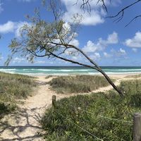 Photos de Reece Muir