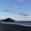 Beach Day 's picture