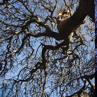 Photos de Lilly Moquin