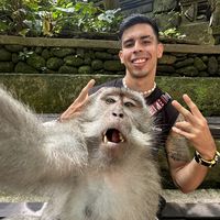 Andres Mazuera的照片