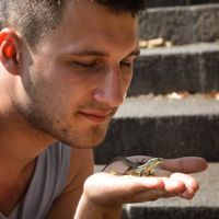 Fotos von Dawid Celmer