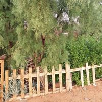 Mostafa Laidouni's Photo