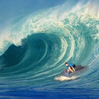 Sebastian Brötzler的照片