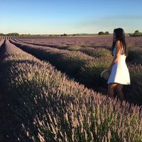 Dieu Phuoc Vo's Photo