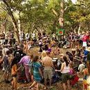 Weekly Drum Circle at 'The Monkey Tree''s picture