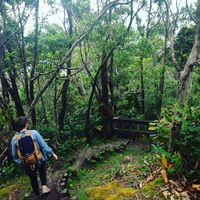 Ally Henderson的照片