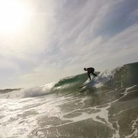 Richard Kraus的照片