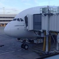 Emilio Triunfo's Photo