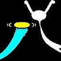 Pedro  Carrasco's Photo