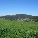 February Hike '26: Dümberg (575m) + Group Dinner的照片