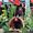 yihan Hong's Photo
