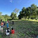Live on a peaceful hill and teach English's picture