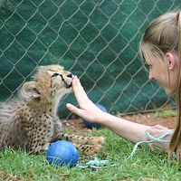 Photos de Lauren Ashleigh Price