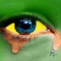 Marco Ferreira的照片