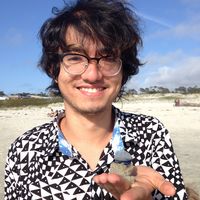 Alex Takeda的照片