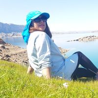 Farzaneh Roshan Zamir的照片