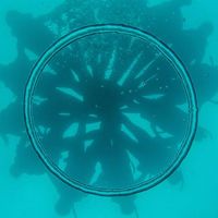 Fotos von Filipino Leung