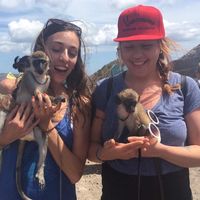 Alanna Felgueiras's Photo