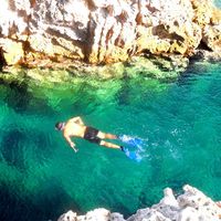 Moslem Bar-Bush的照片