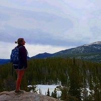 Sharon Saltoon的照片