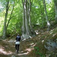 Photos de Eleni Damo