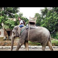 Savi Prezzemolo's Photo