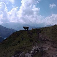 Olaf and Gesine Otto的照片