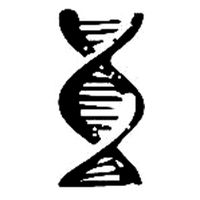 DNA Painting's Photo