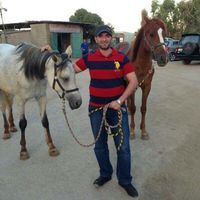 Mustafa Al-Ghabban的照片