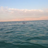 Samuel Schick的照片