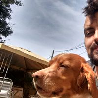 Carlos Sánchez的照片