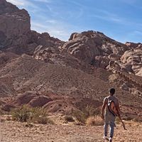 Nicole Marion的照片