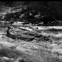 Colten Cummings's Photo