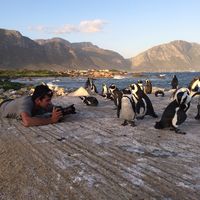 Adrian Kilchherr's Photo