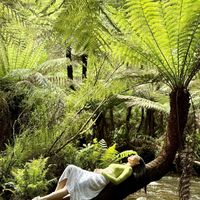 Beatrice Chen's Photo