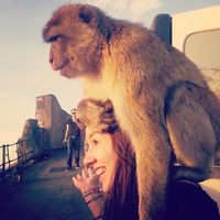 Elena Andrei的照片