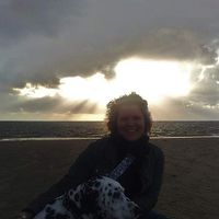 ISLAND IN THE SUN's Photo