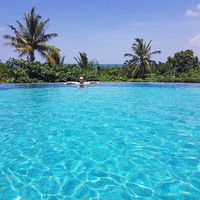 cherfaoui Hamza的照片