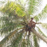 Photos de Cesar Zintum