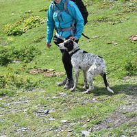 Ramona Welte的照片