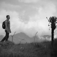 Zdjęcia użytkownika Carlos Argumedo