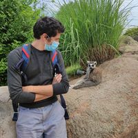 Fotos de Lorenzo Sacchetto