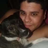 Julio Lamblet的照片