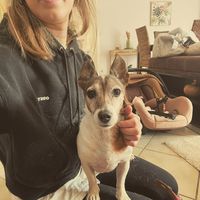 Anne flore  Mersch的照片