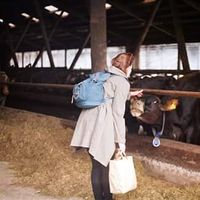 nele marie tiidelepp的照片