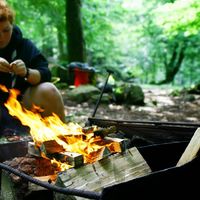 Amanda Mårtensson's Photo