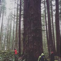 Kara McDonald的照片