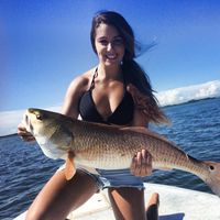 Lindsay Piraino的照片