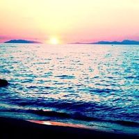 Francesco Scuto's Photo