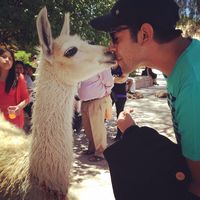 Kevin Perez的照片